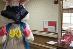 Mr.-Bunny-