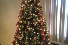 Finished-tree-scaled