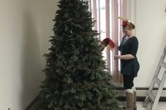 starting-the-tree-scaled