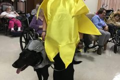 1_Jess-and-pup-e1573225623294