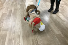 Snickers...this-is-the-way-to-do-it