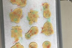 Looking-Yummy-scaled