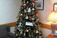 Special-tree-where-staff-decorated-with-ornaments-of-meaning-for-our-loved-ones-lost-scaled