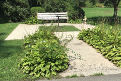 Bench-across-the-bridge