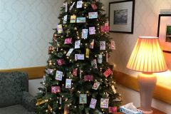 Beautiful-Tree-scaled