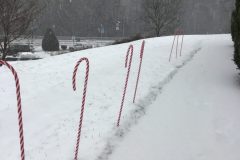 Candy-Cane-Lane-scaled