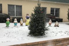 Christmas-tree-and-bushes-decorated-scaled