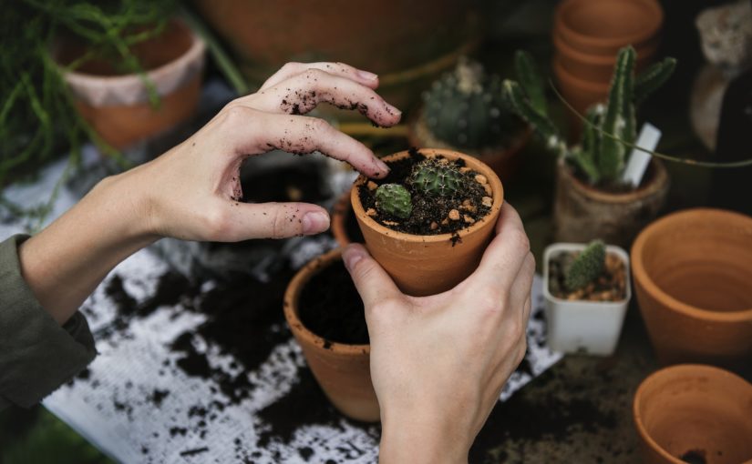 Community Gardens