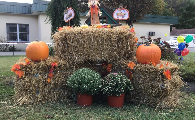 Fall Activities for Seniors