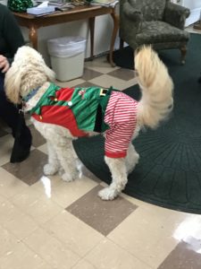 Snickers Christmas Outfit