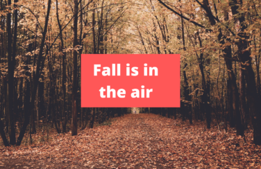Fall is in the air