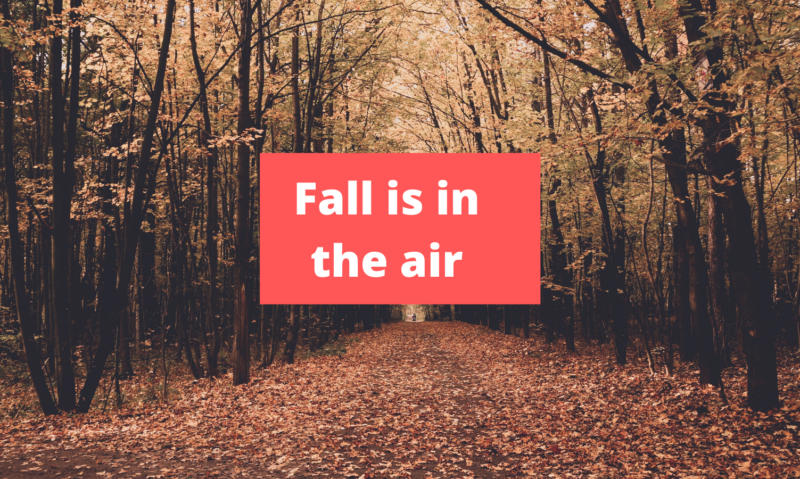 Fall is in the air